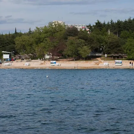 Vendégház Pineta 3*