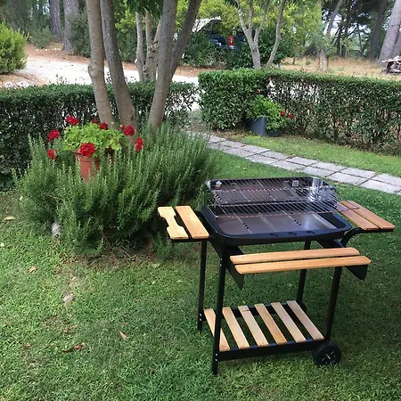 Guest house Pineta